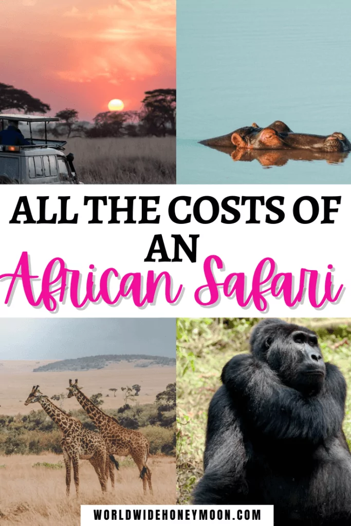 Costs of an African Safari
