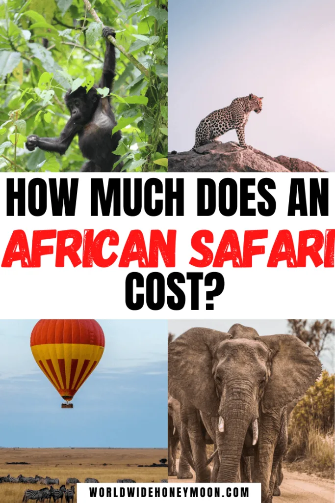 safari walk cost