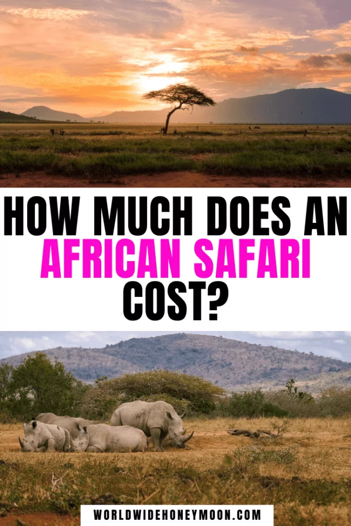 How Much Does An African Safari Cost? - World Wide Honeymoon