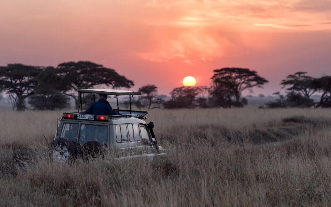 How Much Does An African Safari Cost?