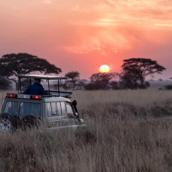 How Much Does An African Safari Cost- - Safari vehicle on the savannah with the sun setting
