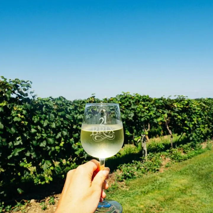 Lake Erie Wine Trail and Chautauqua Wineries | hand holding white wine glass in front of vines