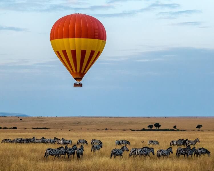 hot air balloon over the African savannah with zebras below