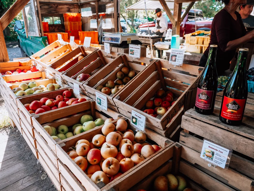 Apples at the farmers market