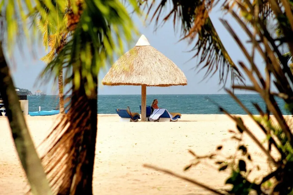 Beach with palm trees and hut with people under it in Placencia