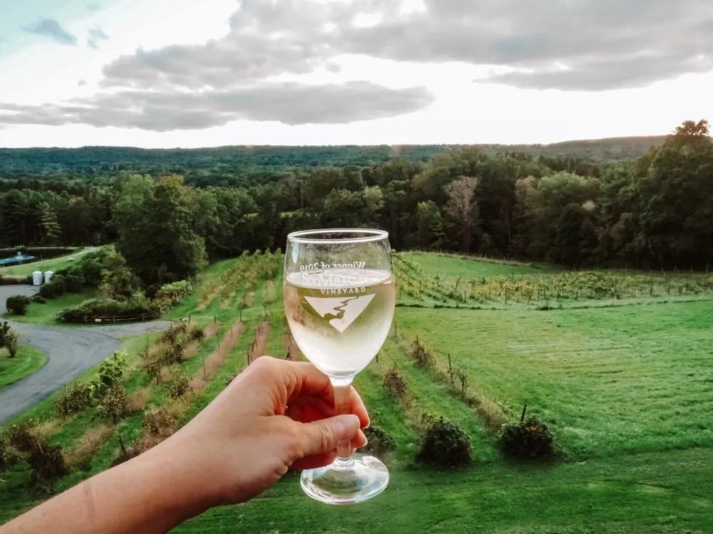 Chardonnay at Six Mile Creek Vineyard