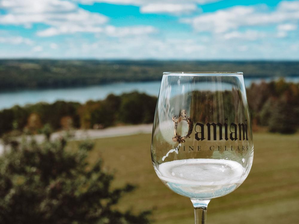 Damiani Wine glass with white wine and Seneca Lake in the background