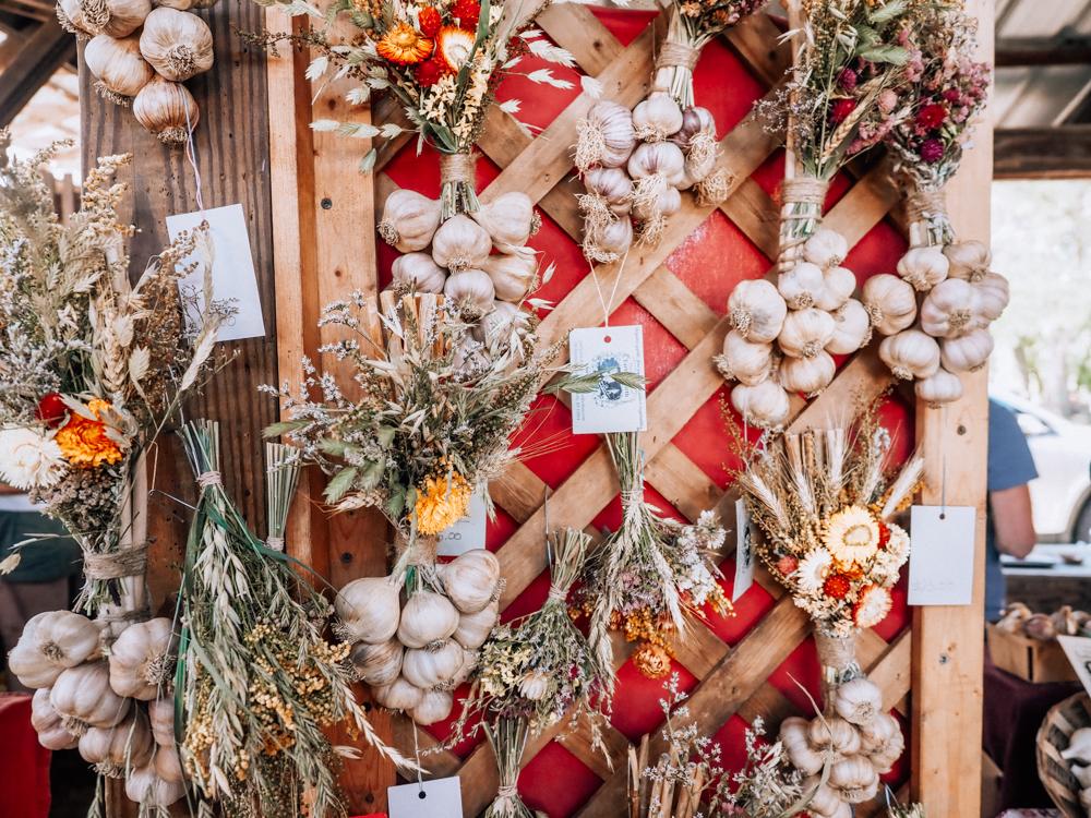 Garlic bulbs hanging on a wall