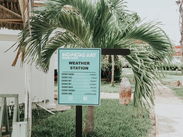 Hopkins Bay Weather Station Coconut