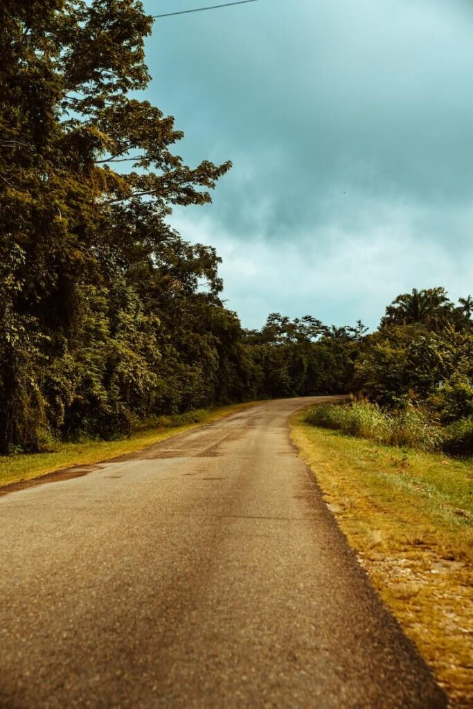 Jungle and road in San Ignacio