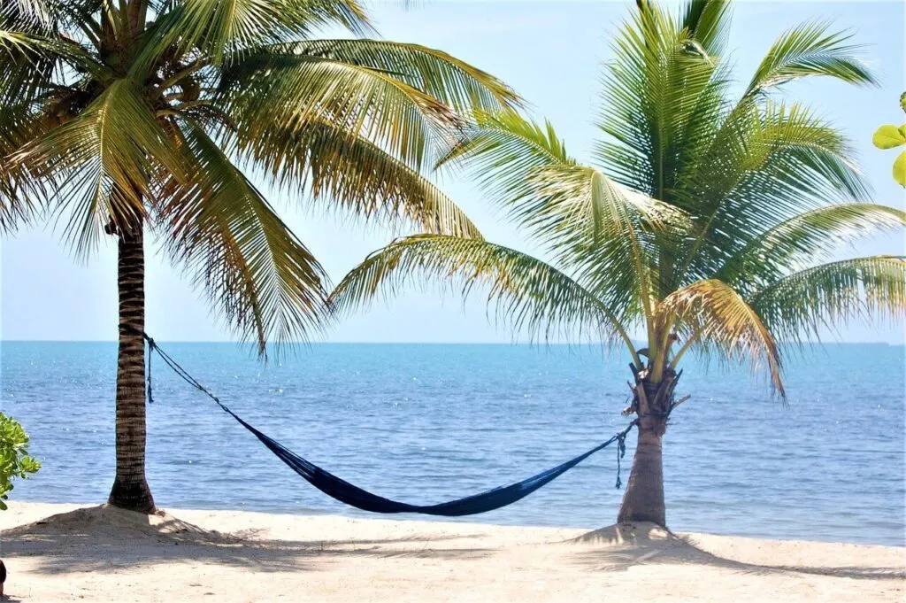 Palm trees with a hammock on the beach in Placencia