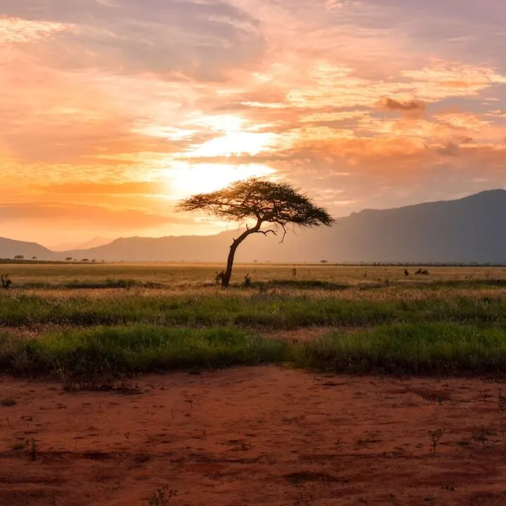African Honeymoon Destinations | Africa Honeymoon Destinations | Sunset on safari