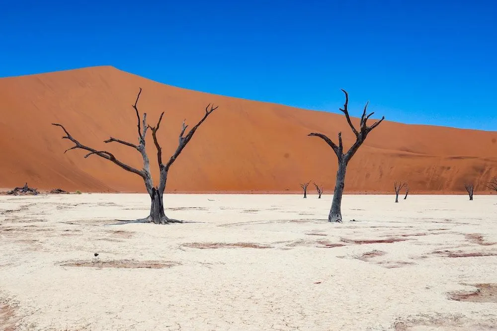 Deadvlei in Namibia