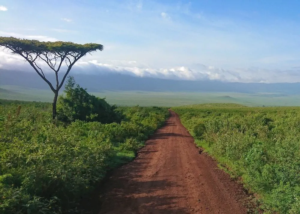 Ngorongoro Crater, Tanzania