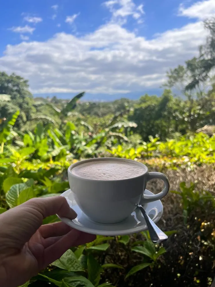 10 Days in Costa Rica | Finca Rosa Blanca coffee