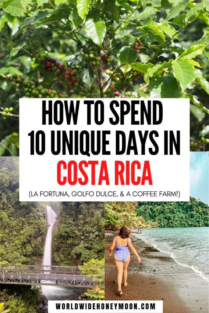 This is the best 10 day Costa Rica itinerary | Costa Rica Itinerary 10 Days | 10 Days in Costa Rica | 10 Days Costa Rica | Costa Rica Travel 10 Days | Unique Places to Stay in Costa Rica | Unique Things to do in Costa Rica | Unique Places in Costa Rica | Where to go in Costa Rica Travel First Time | Costa Rica Where to Go | Costa Rica For First Timers | Osa Peninsula Costa Rica | Costa Rica Honeymoon