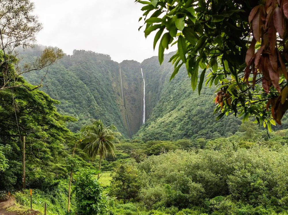 Big Island of Hawaii