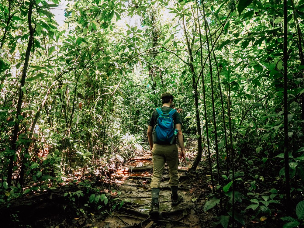 Chris walking in the rainforest