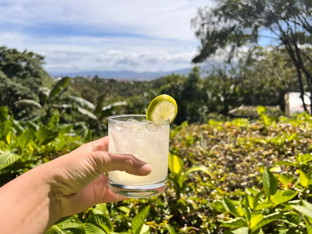 Cocktail being held by a hand with the Central Valley view in the background