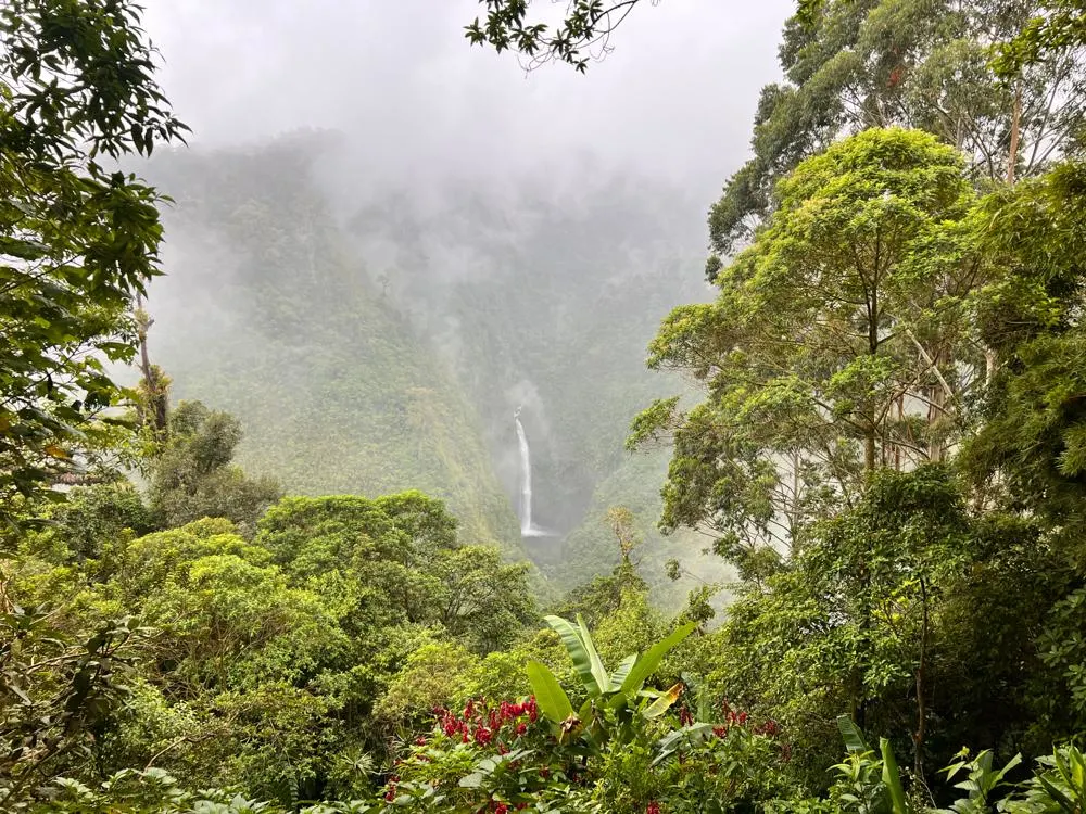 Foggy day with a waterfall view