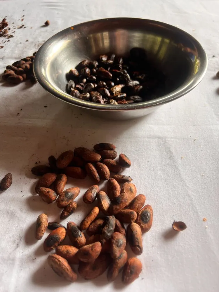 Roasted cacao beans