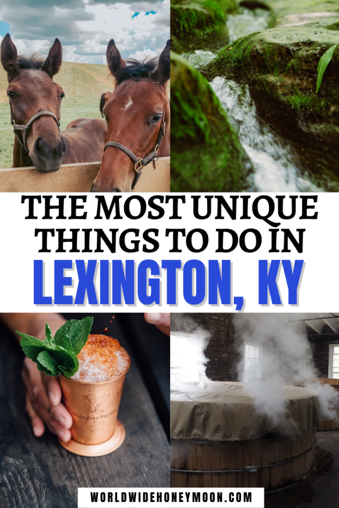 The Most Unique Things to do in Lexington KY