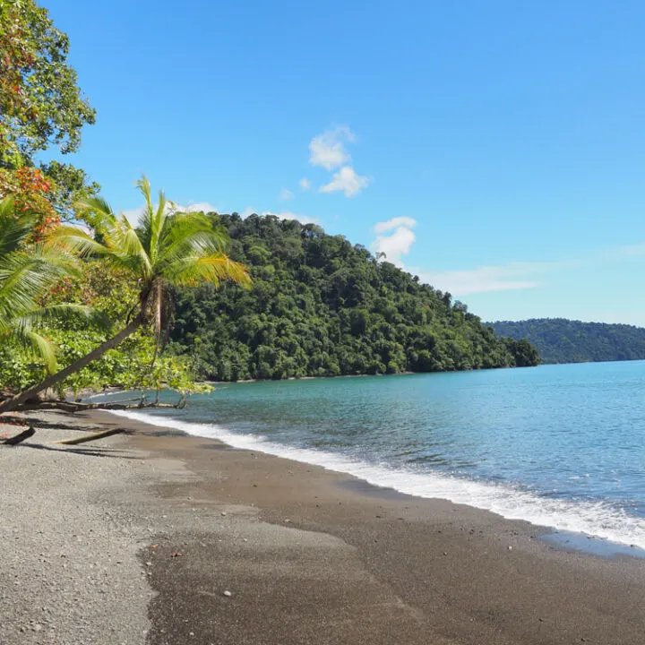 Ultimate Costa Rica 10 Day Itinerary | Osa Peninsula Beaches