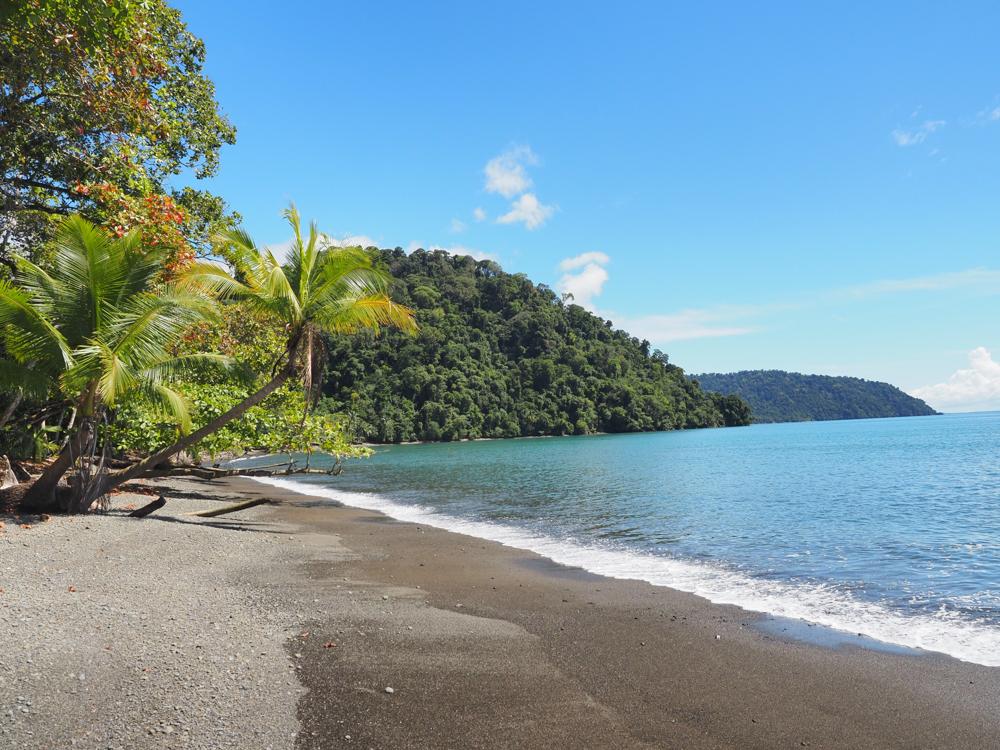 Ultimate Costa Rica 10 Day Itinerary | Osa Peninsula Beaches