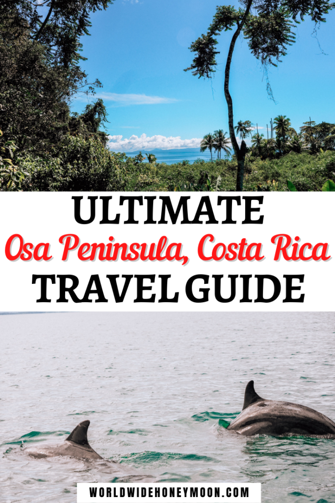 Ultimate Osa Peninsula, Costa Rica Travel Guide