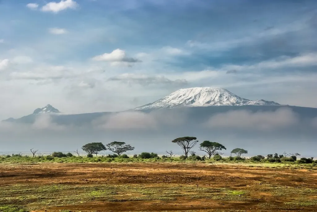 Beautiful safari in Kenya