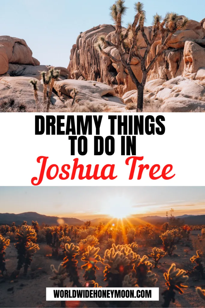 Dreamy Things to do in Joshua Tree