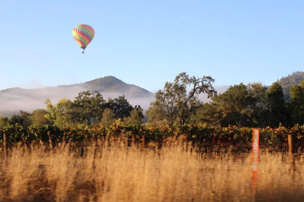 Hot air balloon over Napa Valley