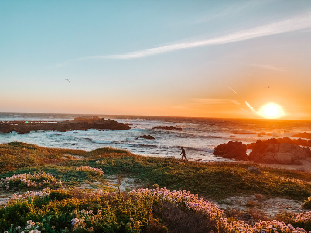 Monterey California Honeymoon Destinations