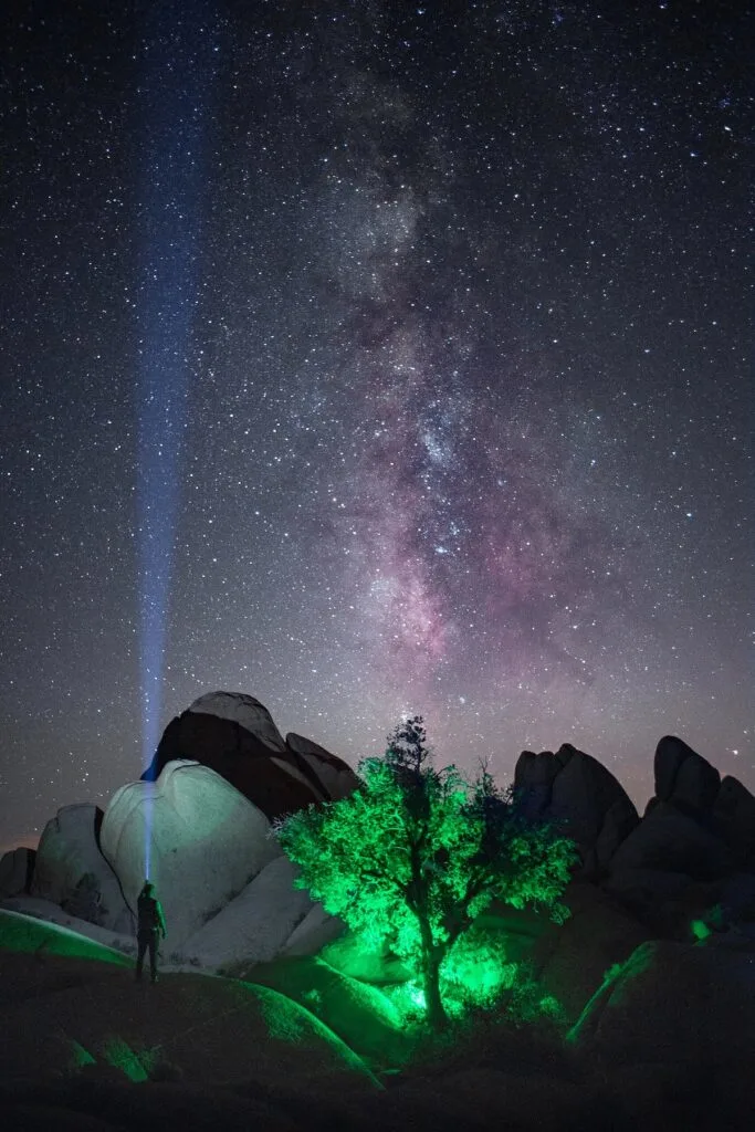 Night sky in Joshua Tree