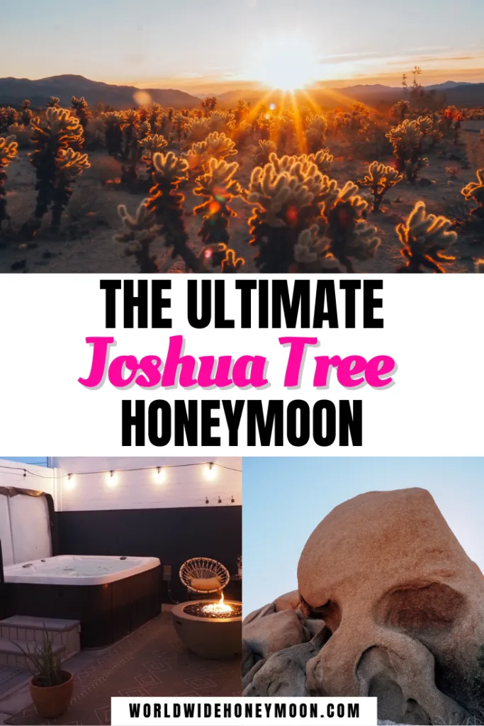 Ultimate Joshua Tree Honeymoon