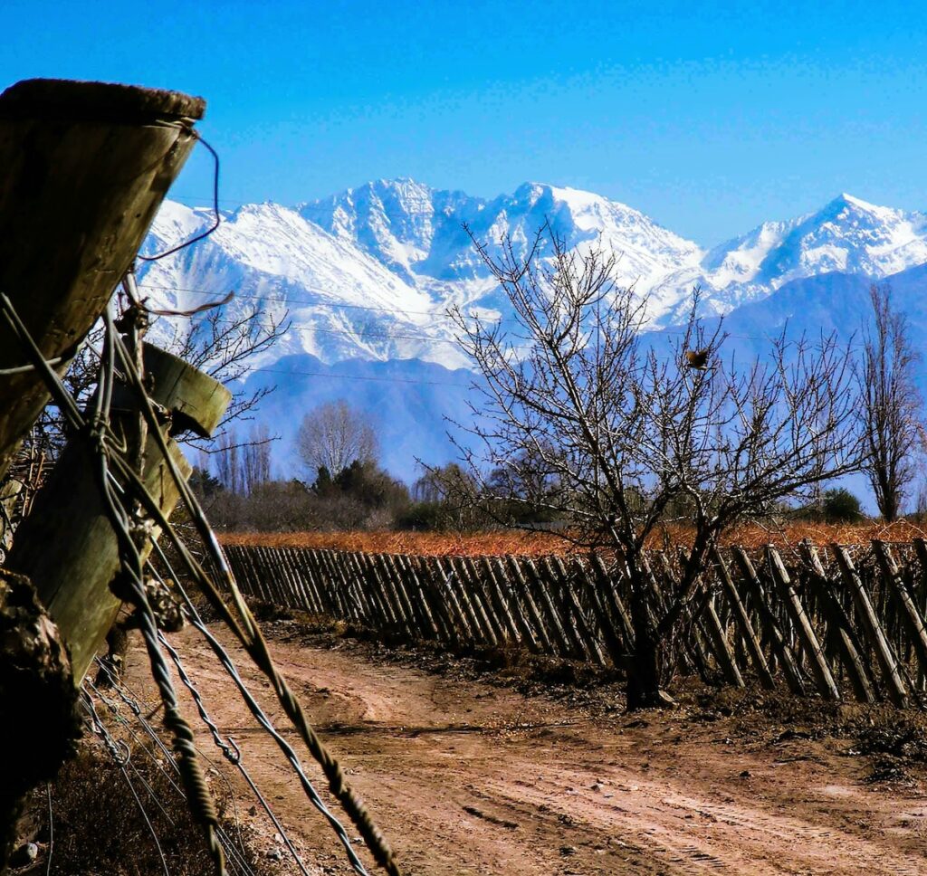 Vineyards in Mendoza | June Honeymoon Destinations