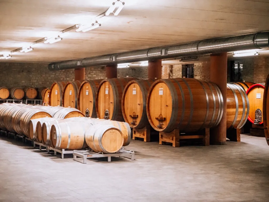 Barrels in Piedmont | 7 Days in Italy Itinerary