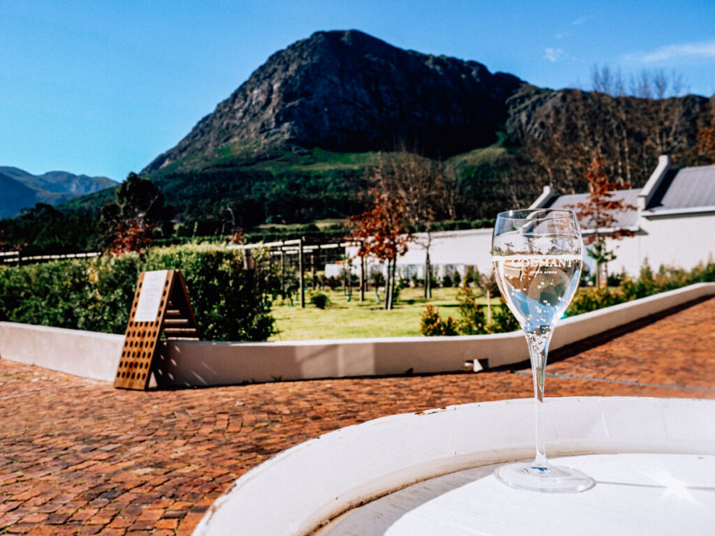 Colmant in the Winelands