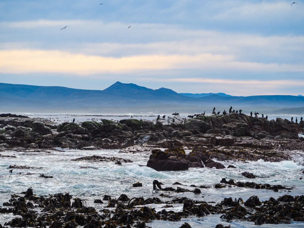 Gansbaai scenery