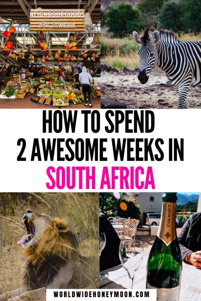 The Ultimate 2 Weeks in South Africa | South Africa Honeymoon Itinerary | South Africa Safari | South Africa Travel Inspiration | South Africa Photography | Kruger National Park South Africa | Cape Town South Africa | Johannesburg South Africa | South Africa Itinerary | South Africa 2 Week Itinerary | South Africa Itinerary | 14 Days in South Africa | Honeymoon in South Africa | Honeymoon Destinations in South Africa | South Africa Safari Honeymoon | Honeymoon Ideas in South Africa
