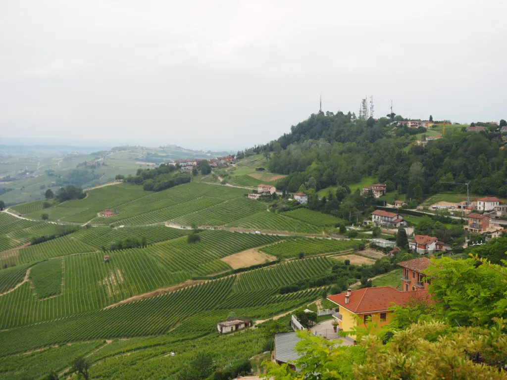 Italy Off-the-Beaten-Path Itinerary in 7 Days | Piedmont vineyards