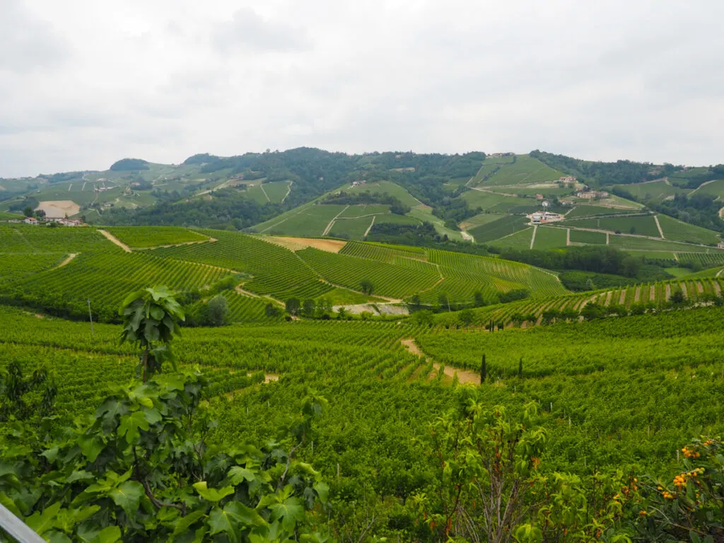 Italy off the beaten path itinerary in 7 days | Wineries of Piedmont
