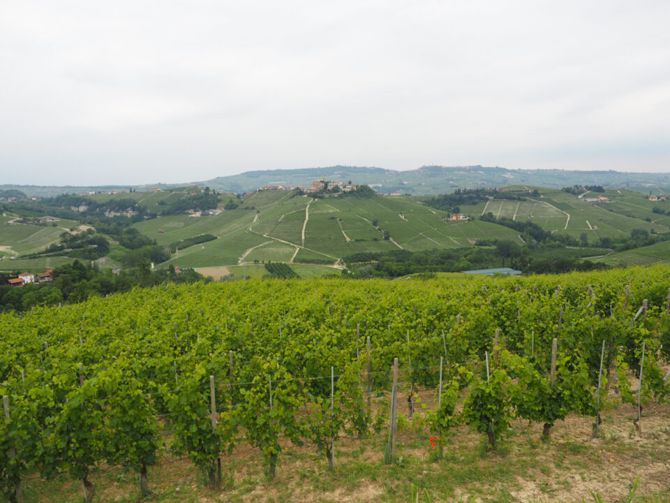 Ultimate 7 Days in Italy OfftheBeatenPath Itinerary For Food & Wine