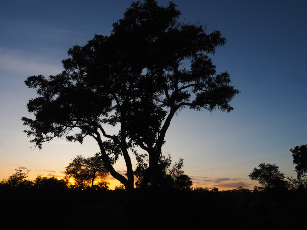 Sunset at Simbavati