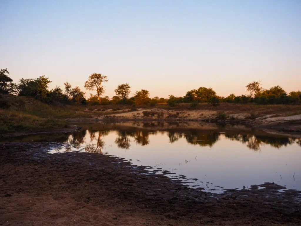 Sunset at the watering hole