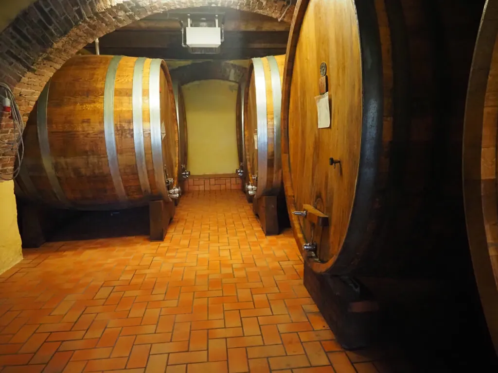 Wine barrels while exploring Piedmont