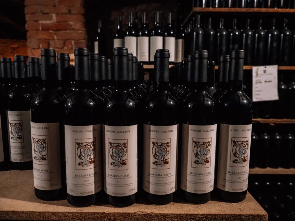 Wine cellar at a winery in Piedmont