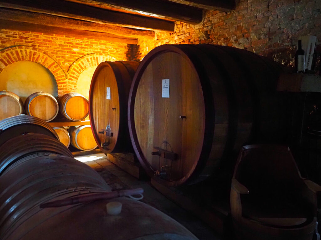 Wine cellar in Piedmont | 7 Days in Italy