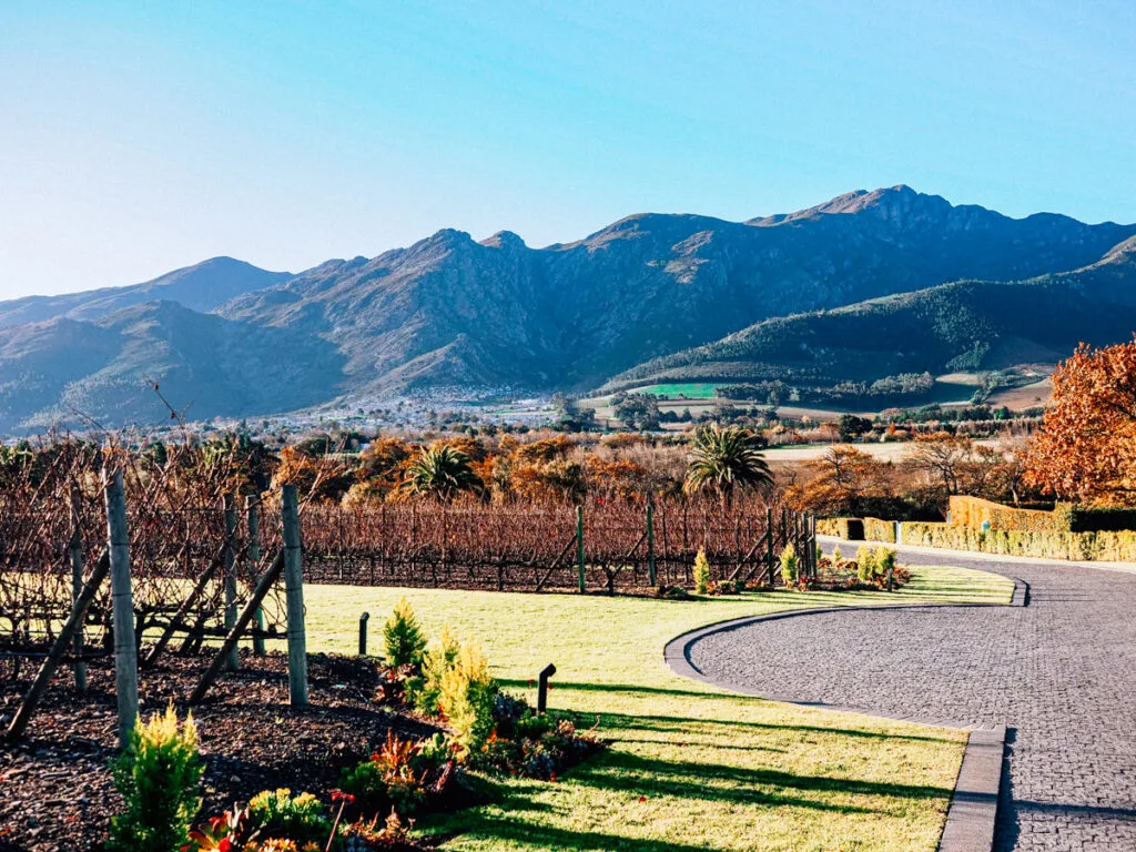 Winelands of South Africa