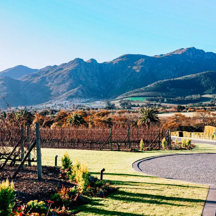 Winelands of South Africa